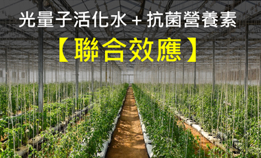 Synergistic Effects of Quantum-Activated Water & Enzyme-Based Antibacterial Nutrient